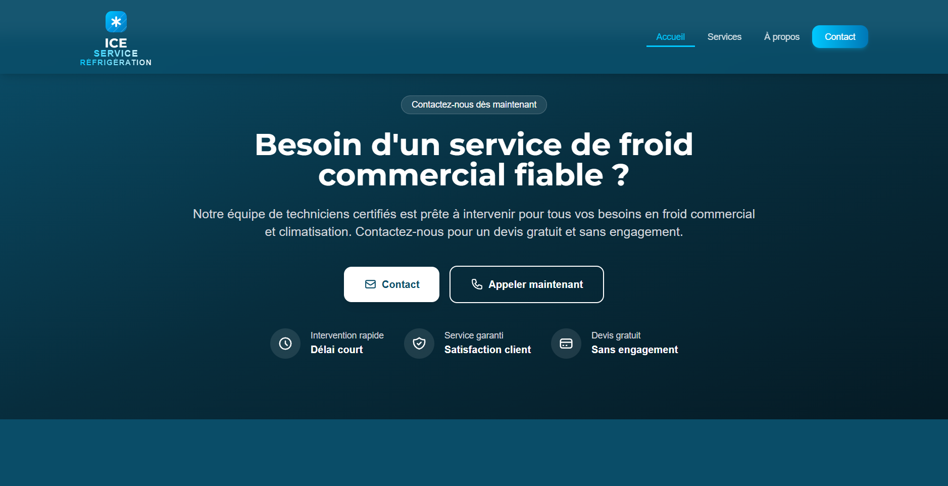 Galerie Ice Service